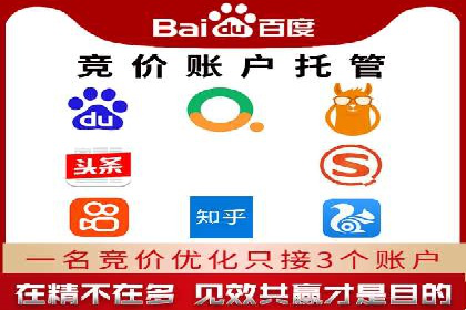 竞价托管新模式：企业成功案例解析